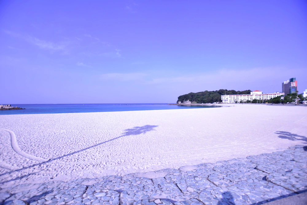 Shirahama House