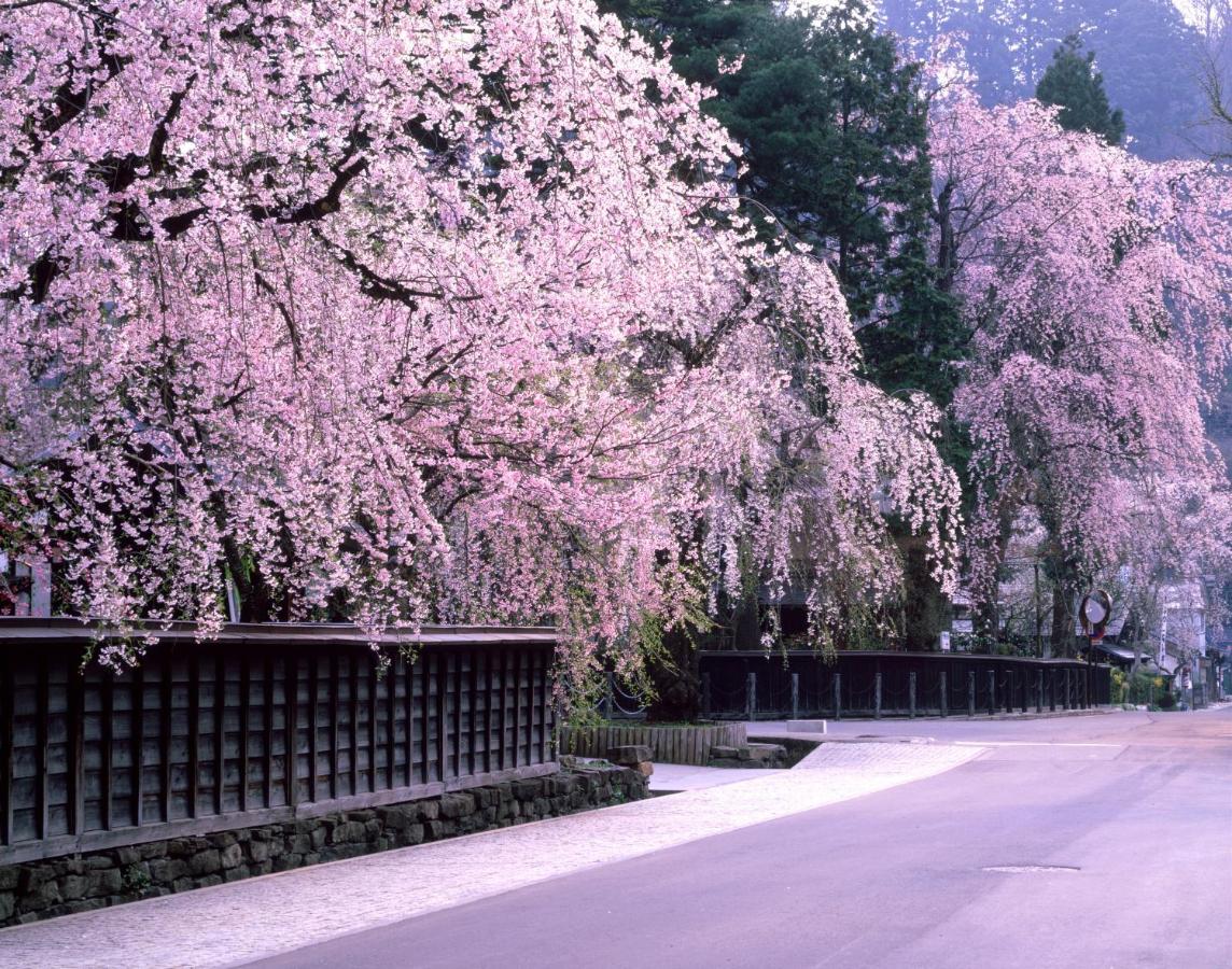 Hotel Mori No Kaze Ousyuku