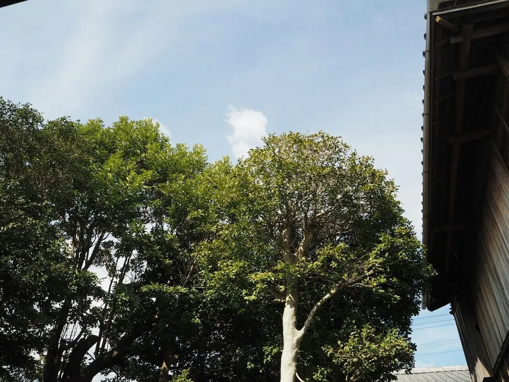 Backpackers Hostel Tsubamenoyado