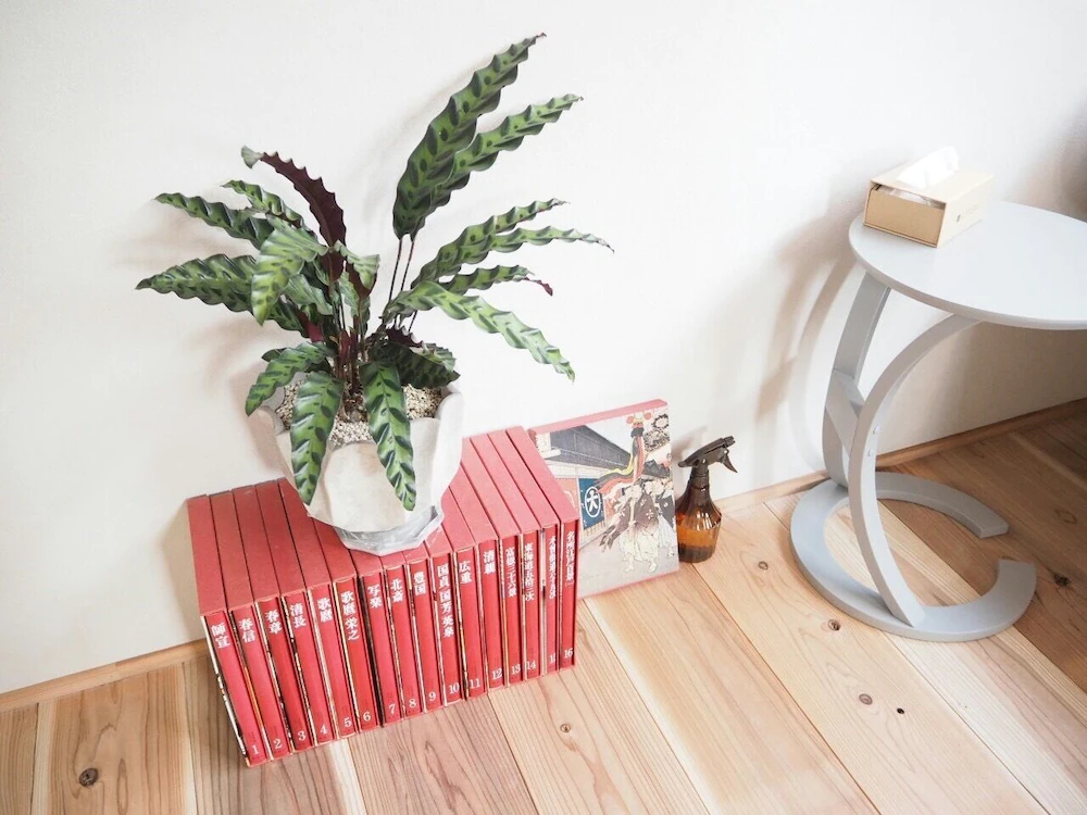 Backpackers Hostel Tsubamenoyado