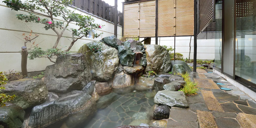 Hotel Hagoromo