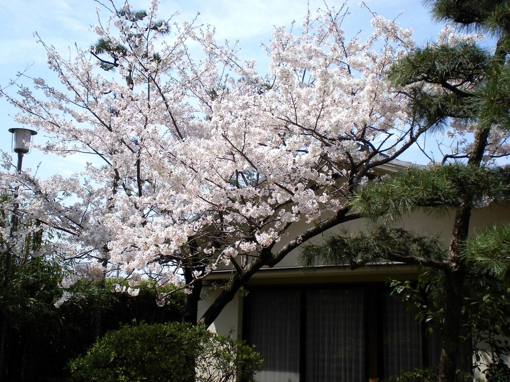 Hotel Hagoromo