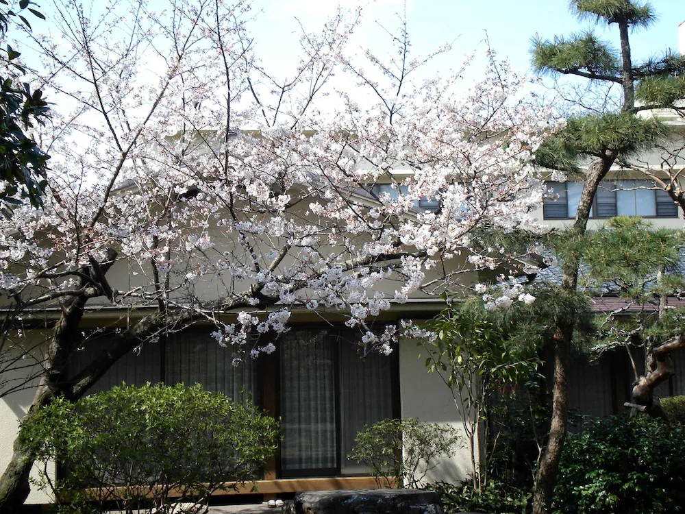 Hotel Hagoromo