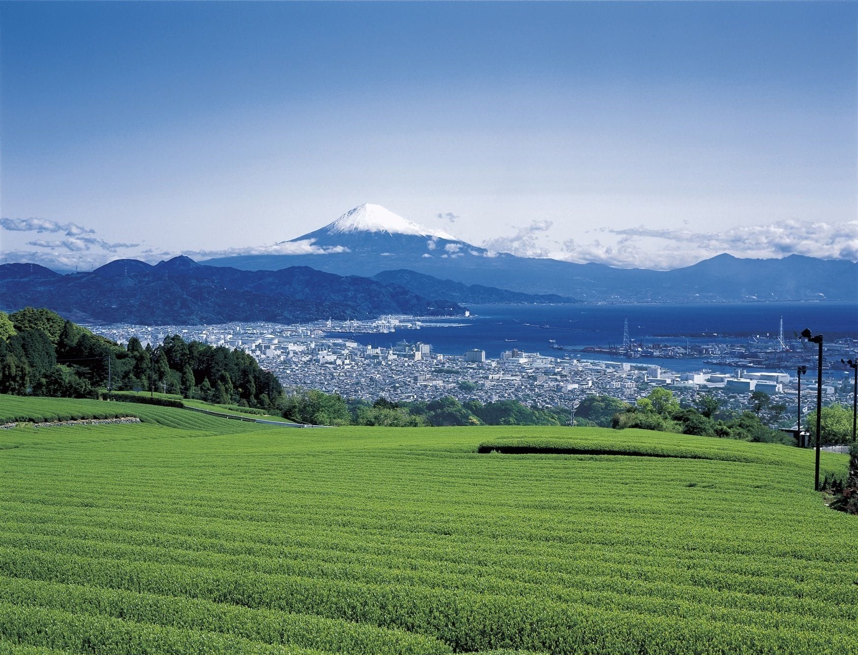Hotel Wing International Shizuoka