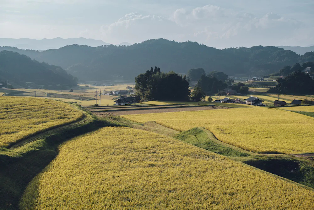 Setouchi Cominca Stays Hiroshima Chojaya