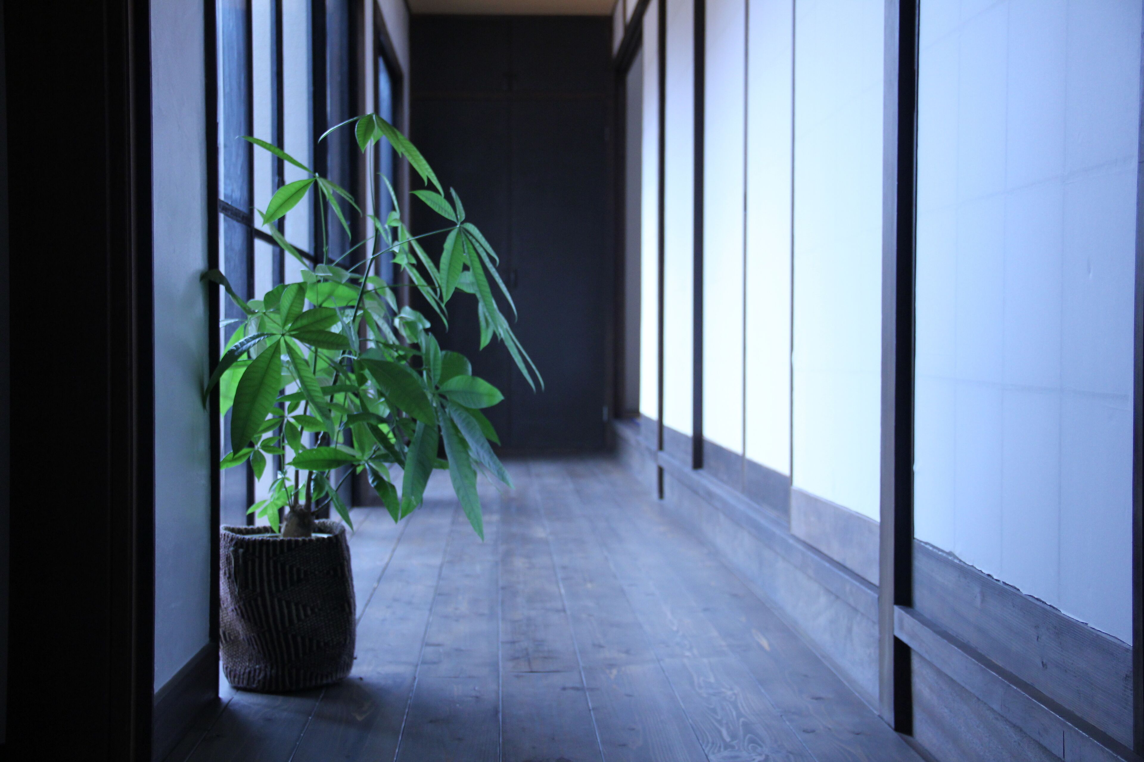 Umekiya