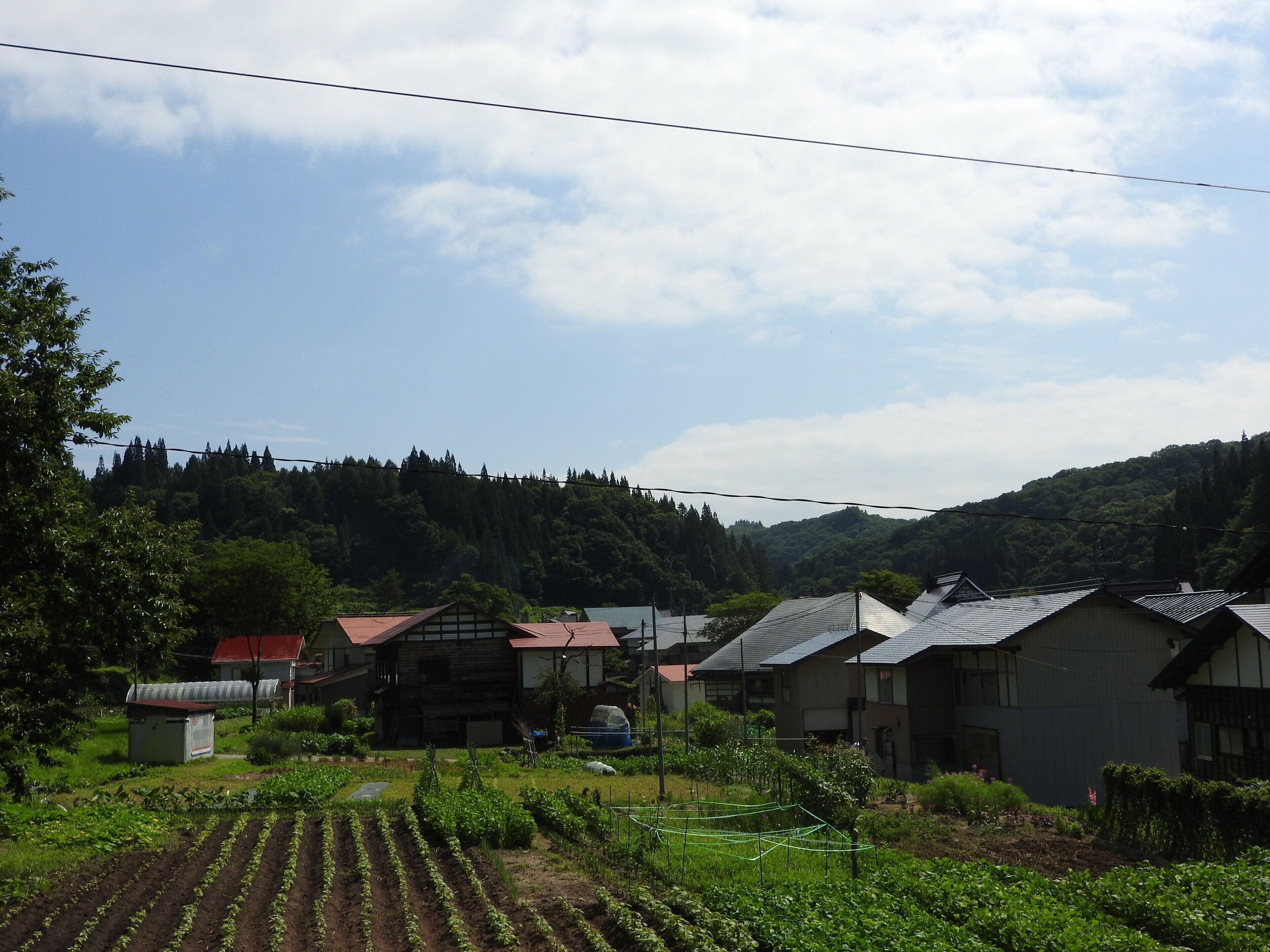 Mori No Bunko Fuzawa