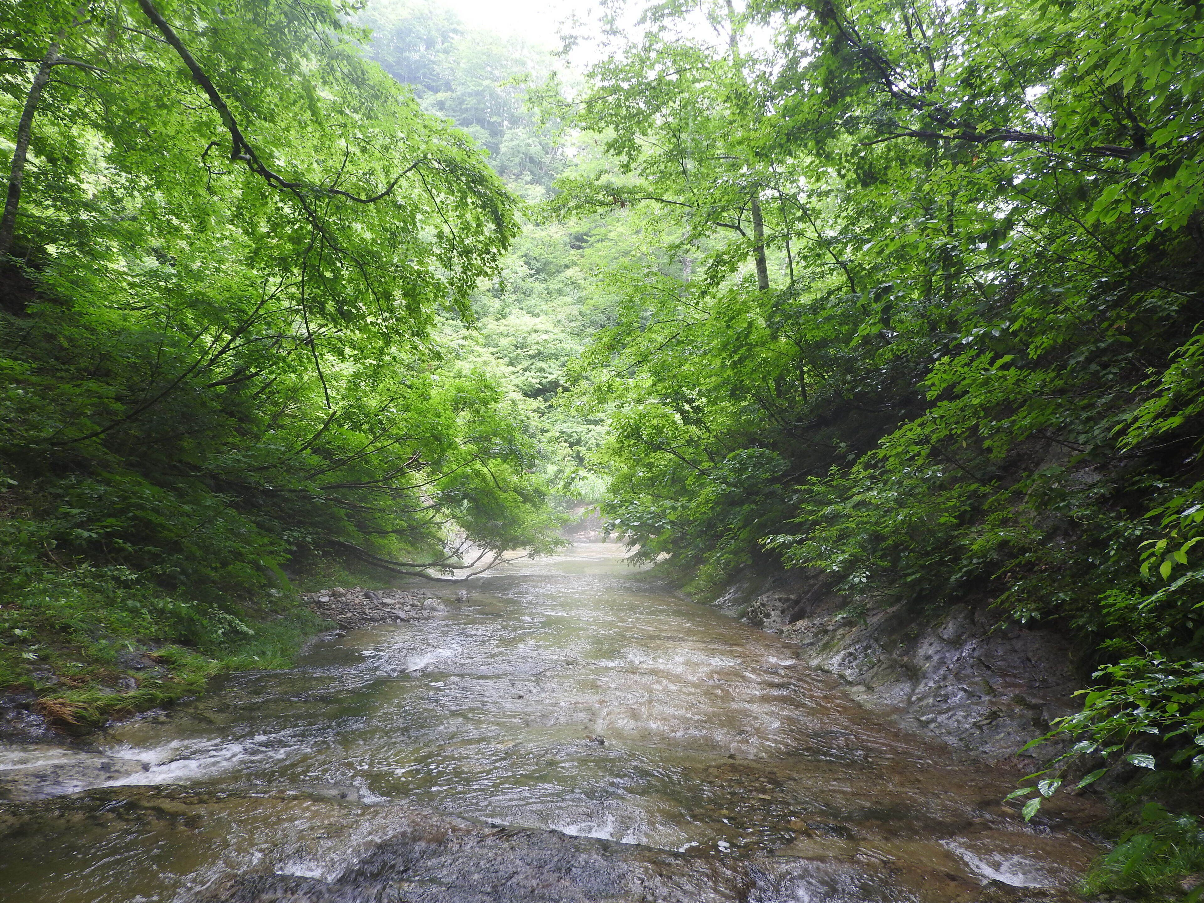 Mori No Bunko Fuzawa