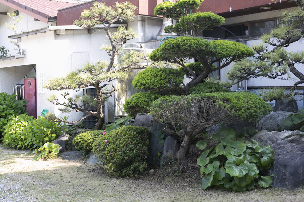 Tamagawa Ryokan