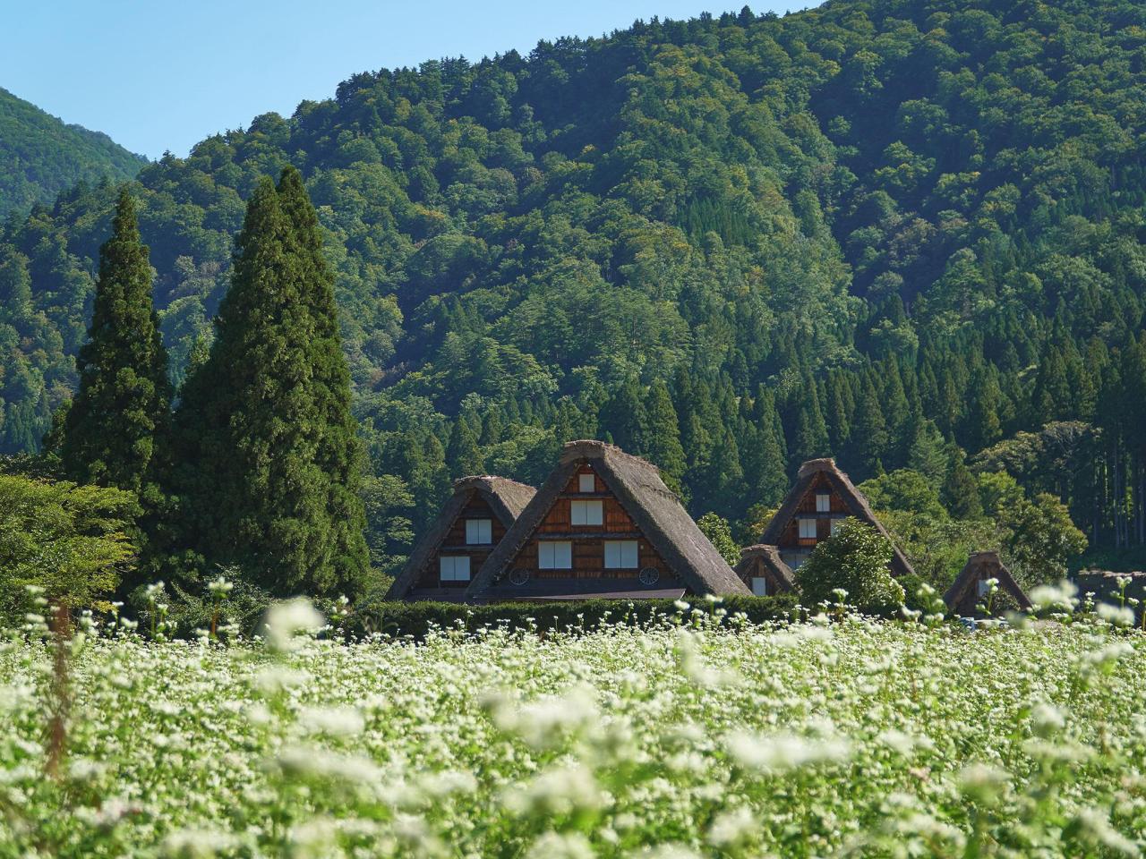 Fav Hotel Takayama