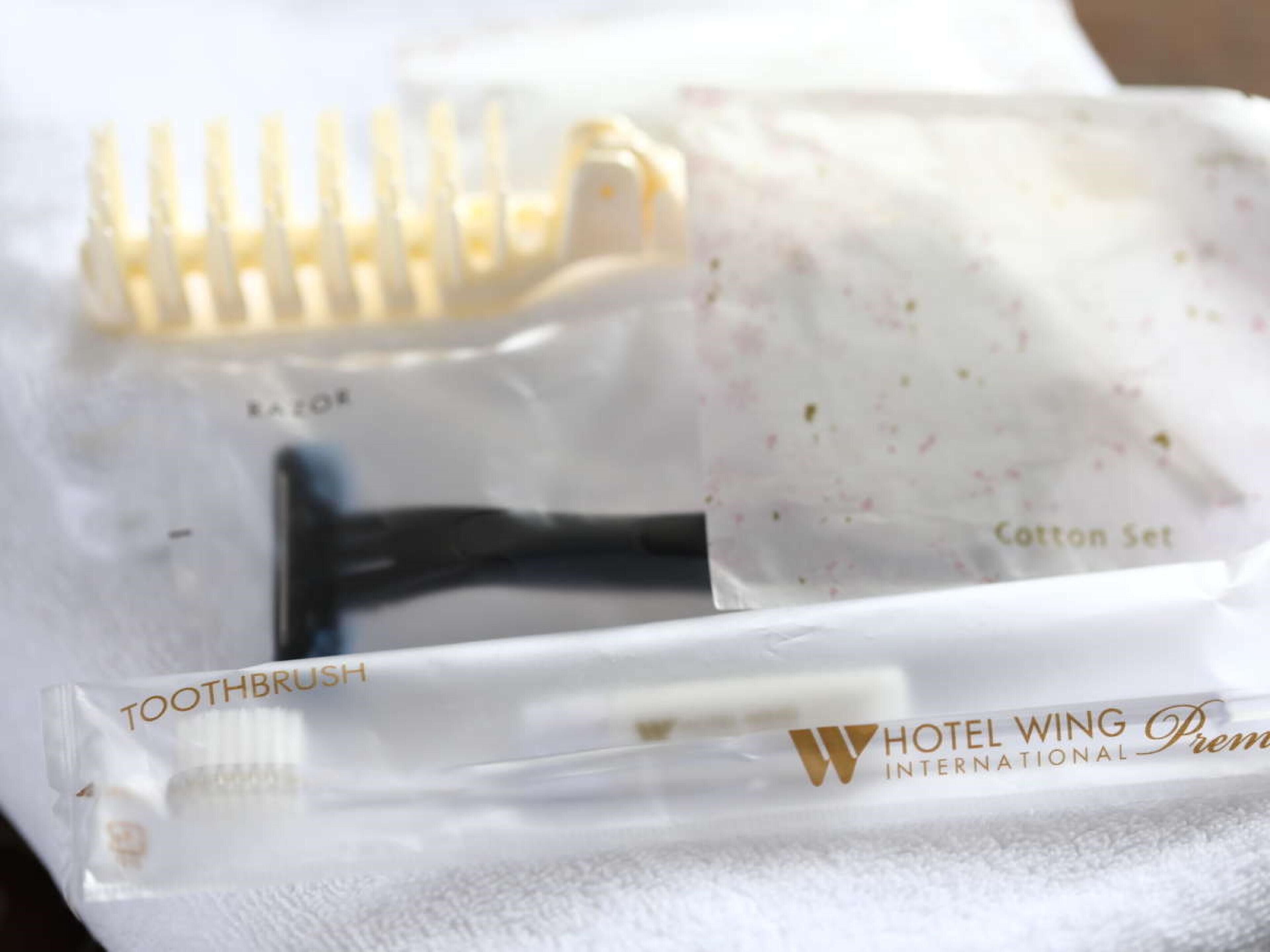 Hotel Wing International Hida Takayama