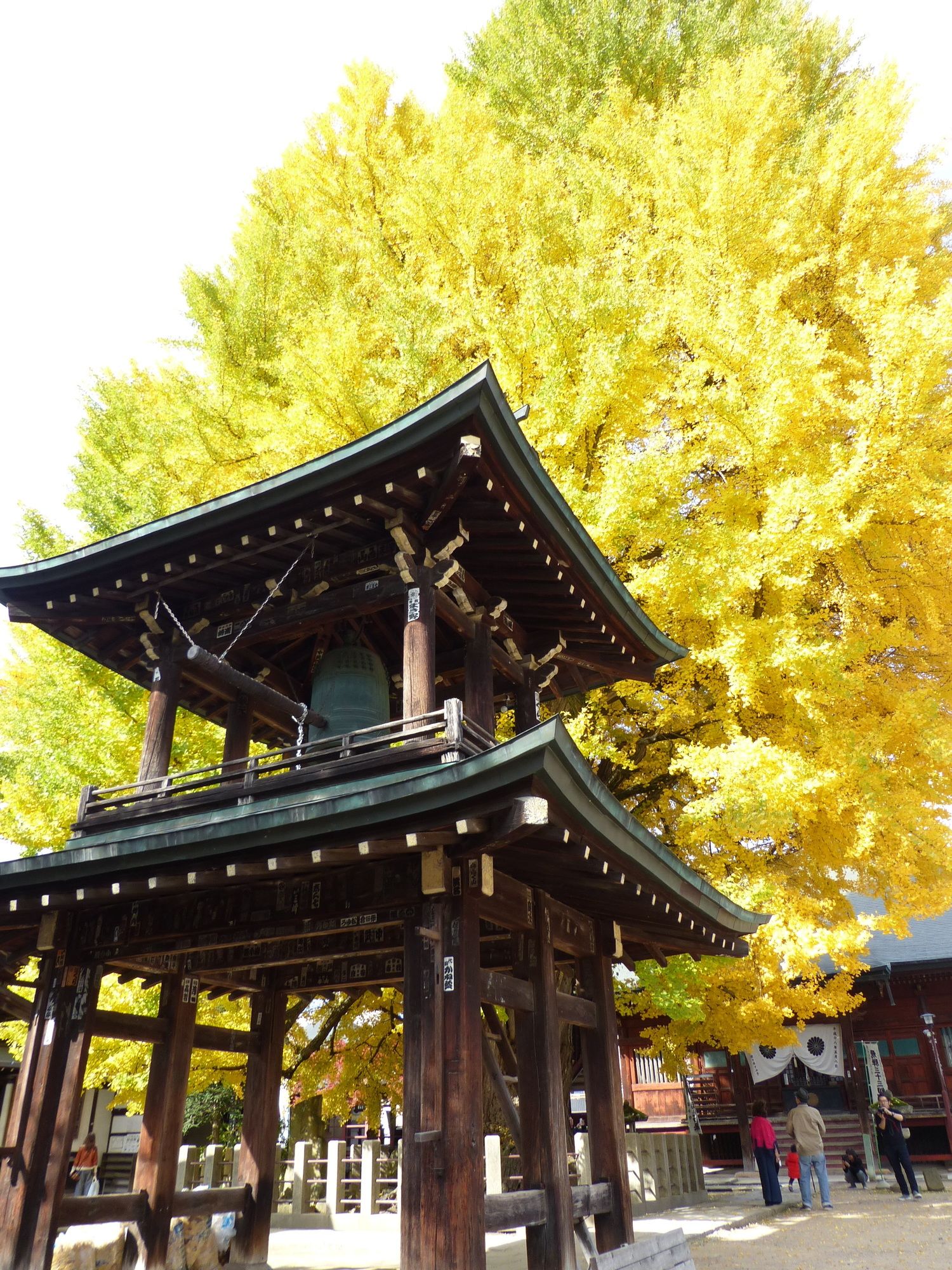 Minshuku Kuwataniya