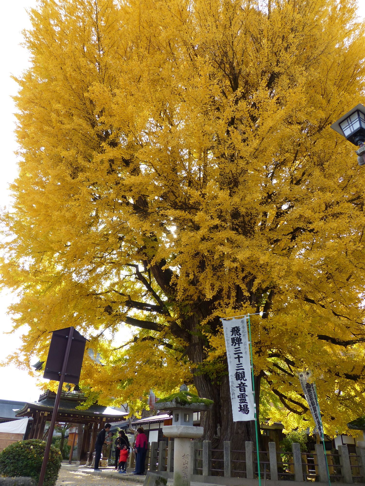 Minshuku Kuwataniya
