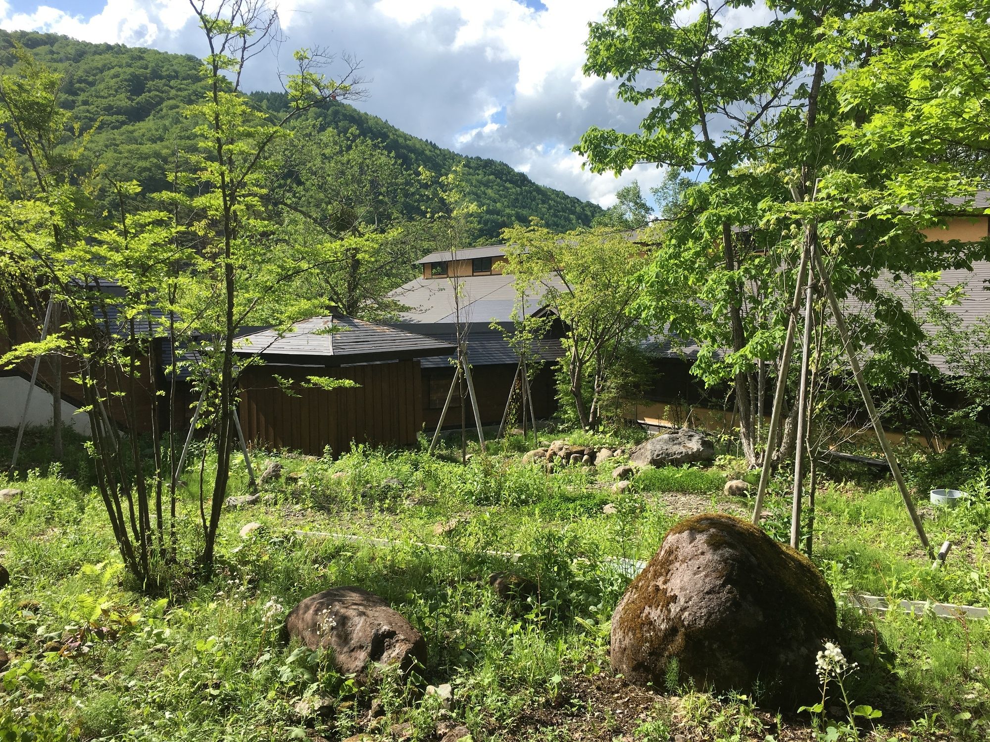 Miyama Ouan