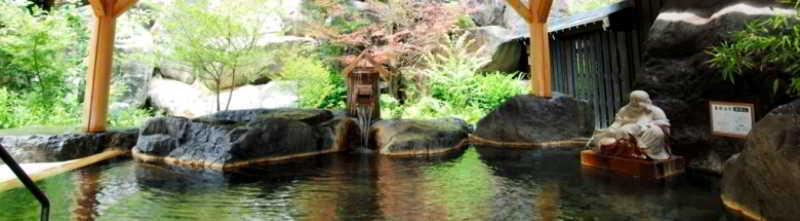 Okuhida Yakushi No Yu Honjin