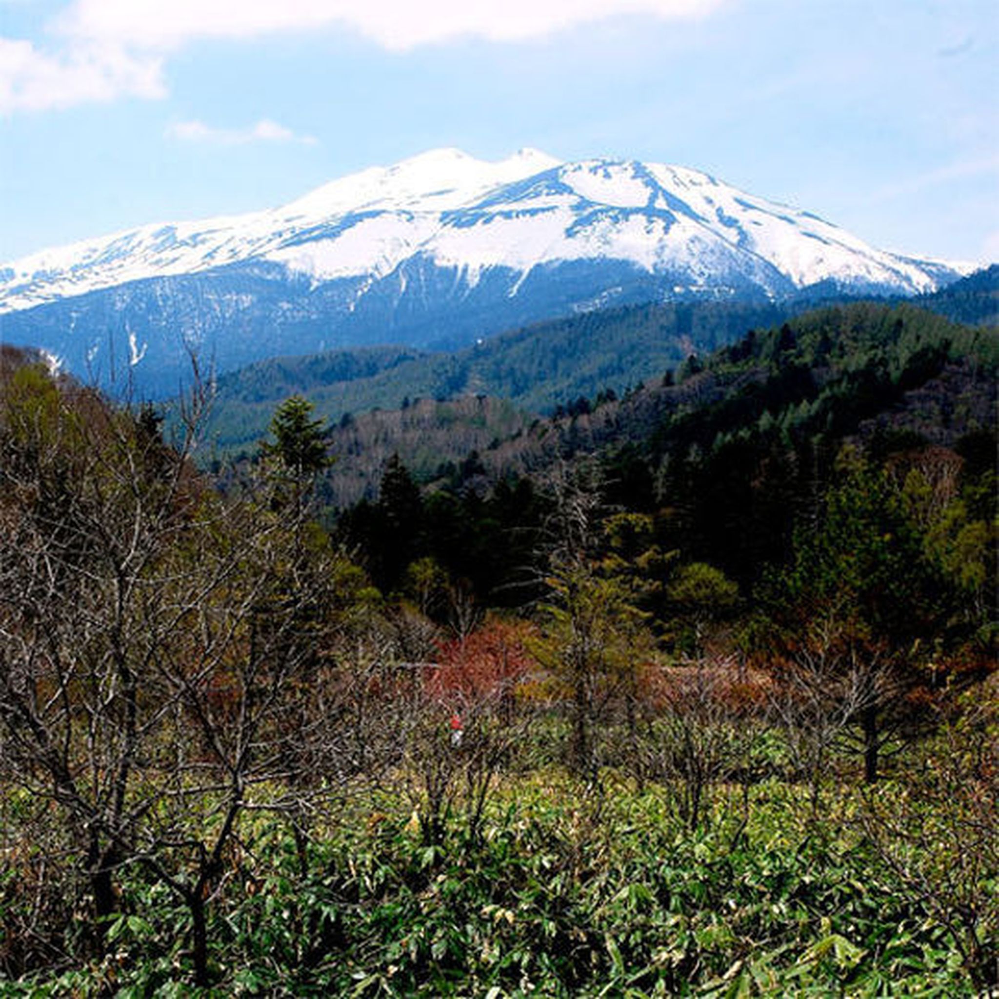 Shichihoukan