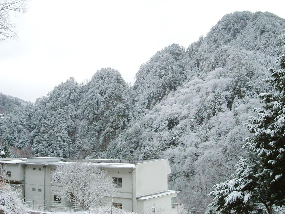 Shichihoukan
