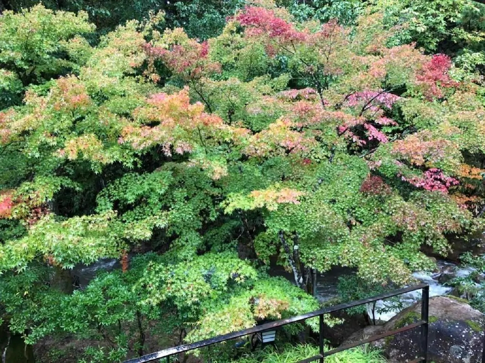 Shohakuen