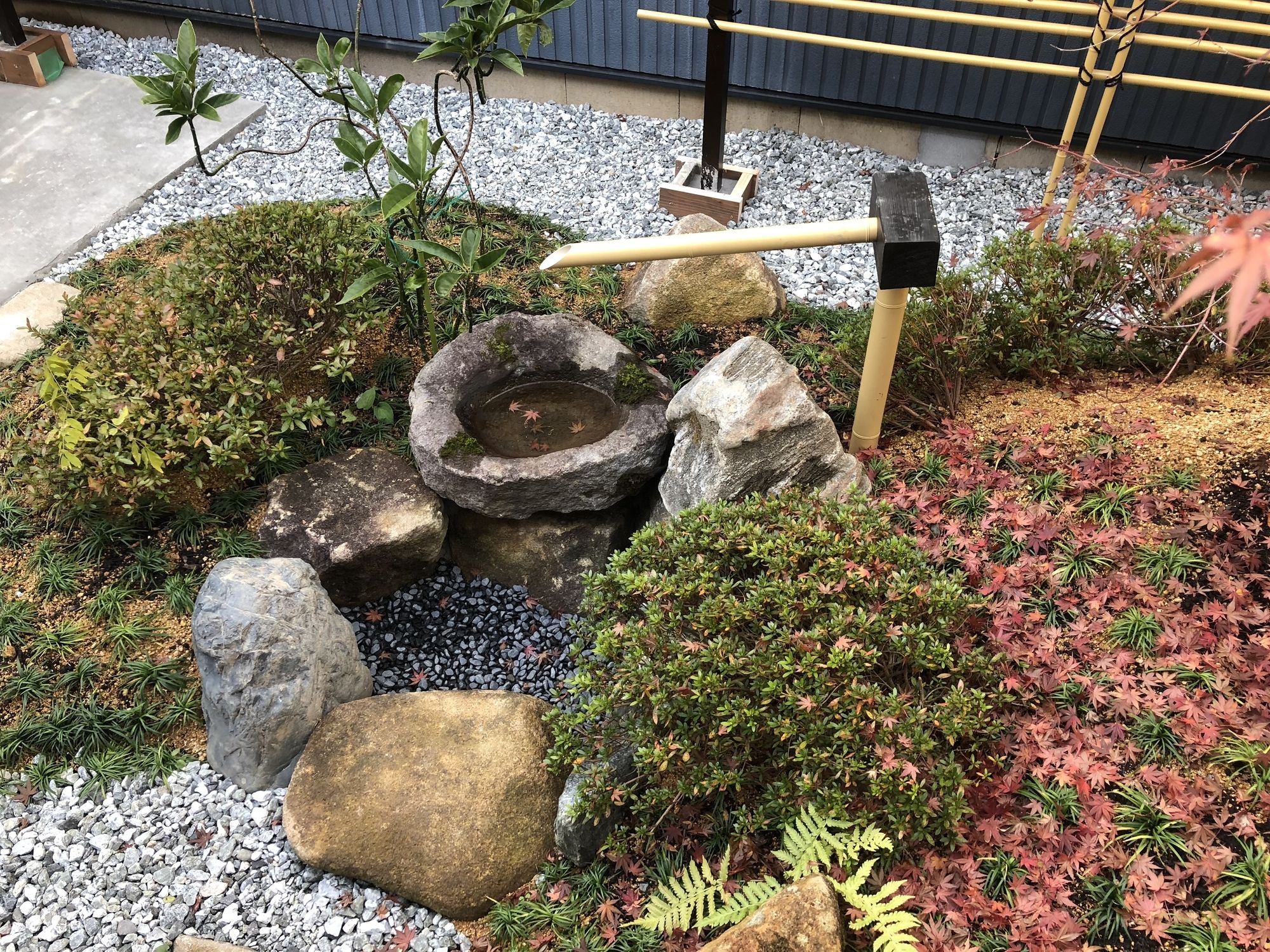 Taisho Aburaya