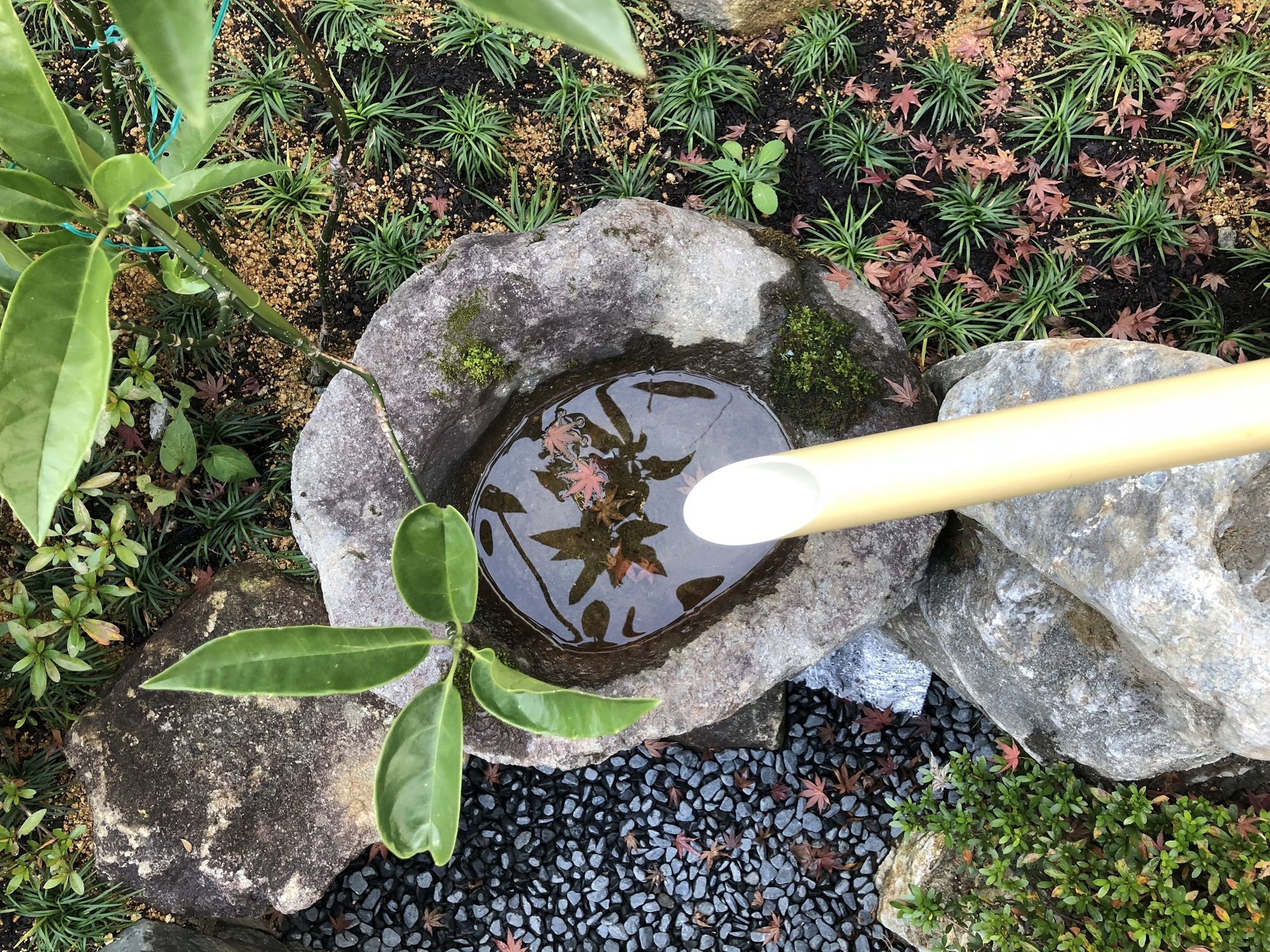 Taisho Aburaya