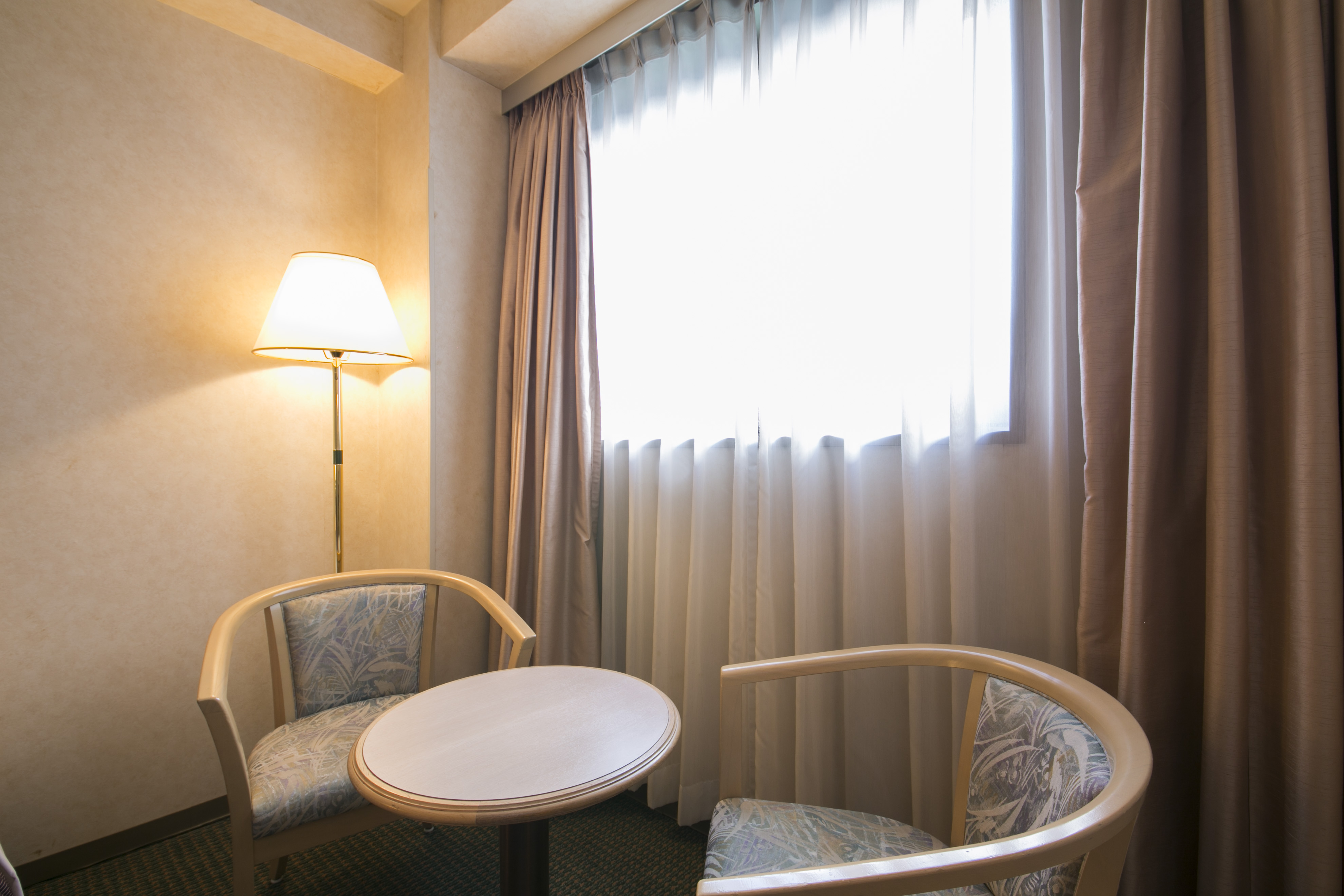 Washington Hotel Plaza Takayama