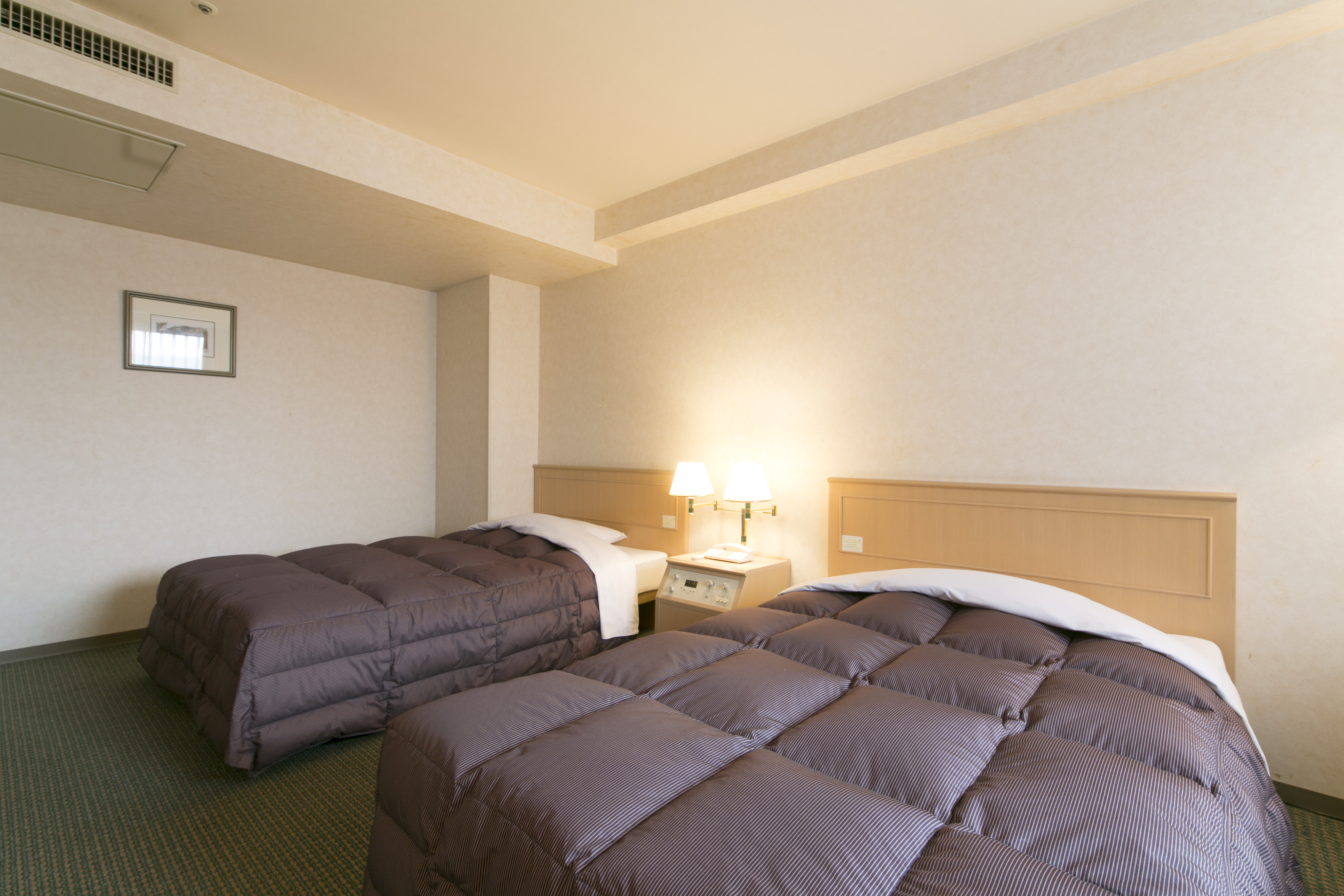 Washington Hotel Plaza Takayama