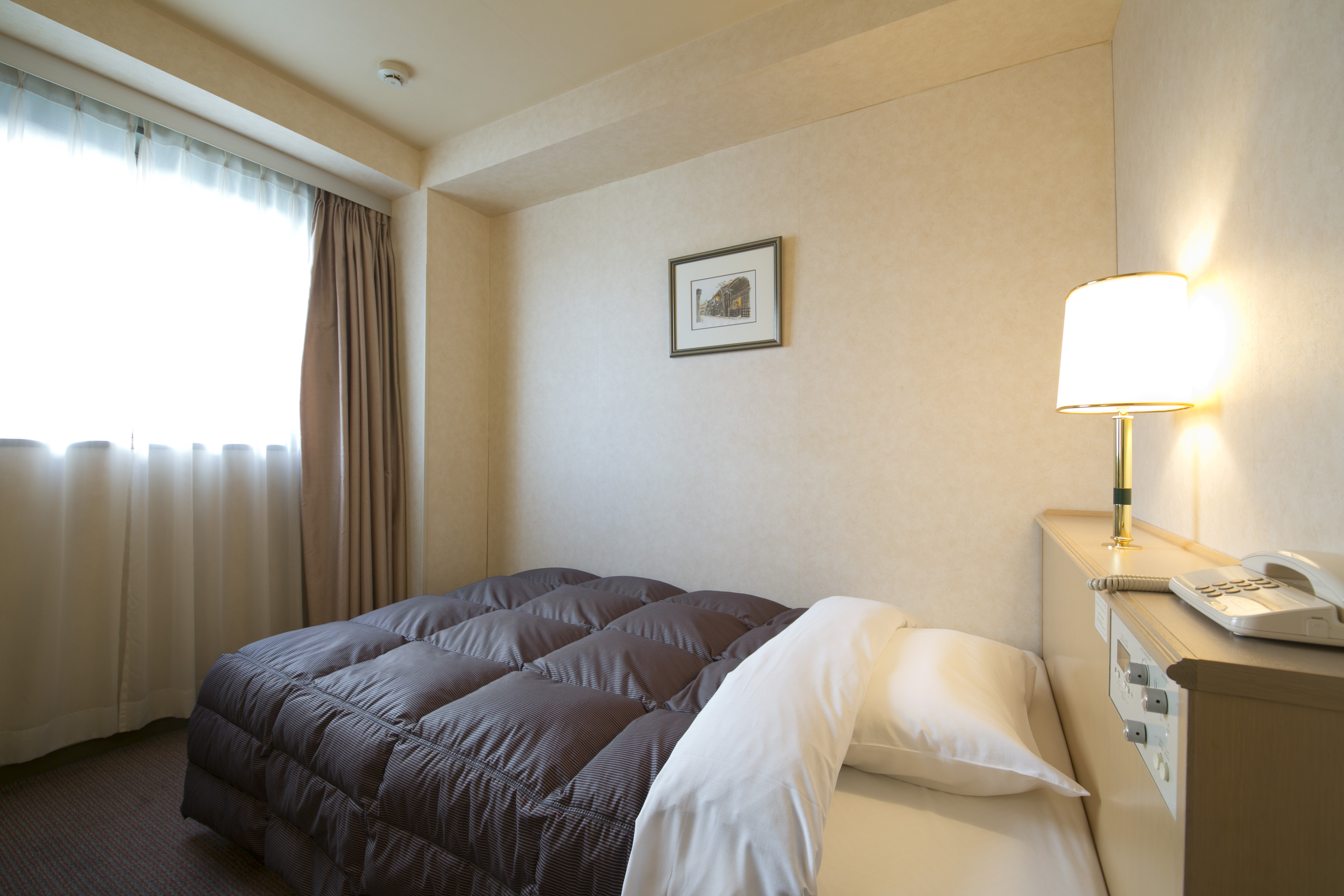 Washington Hotel Plaza Takayama