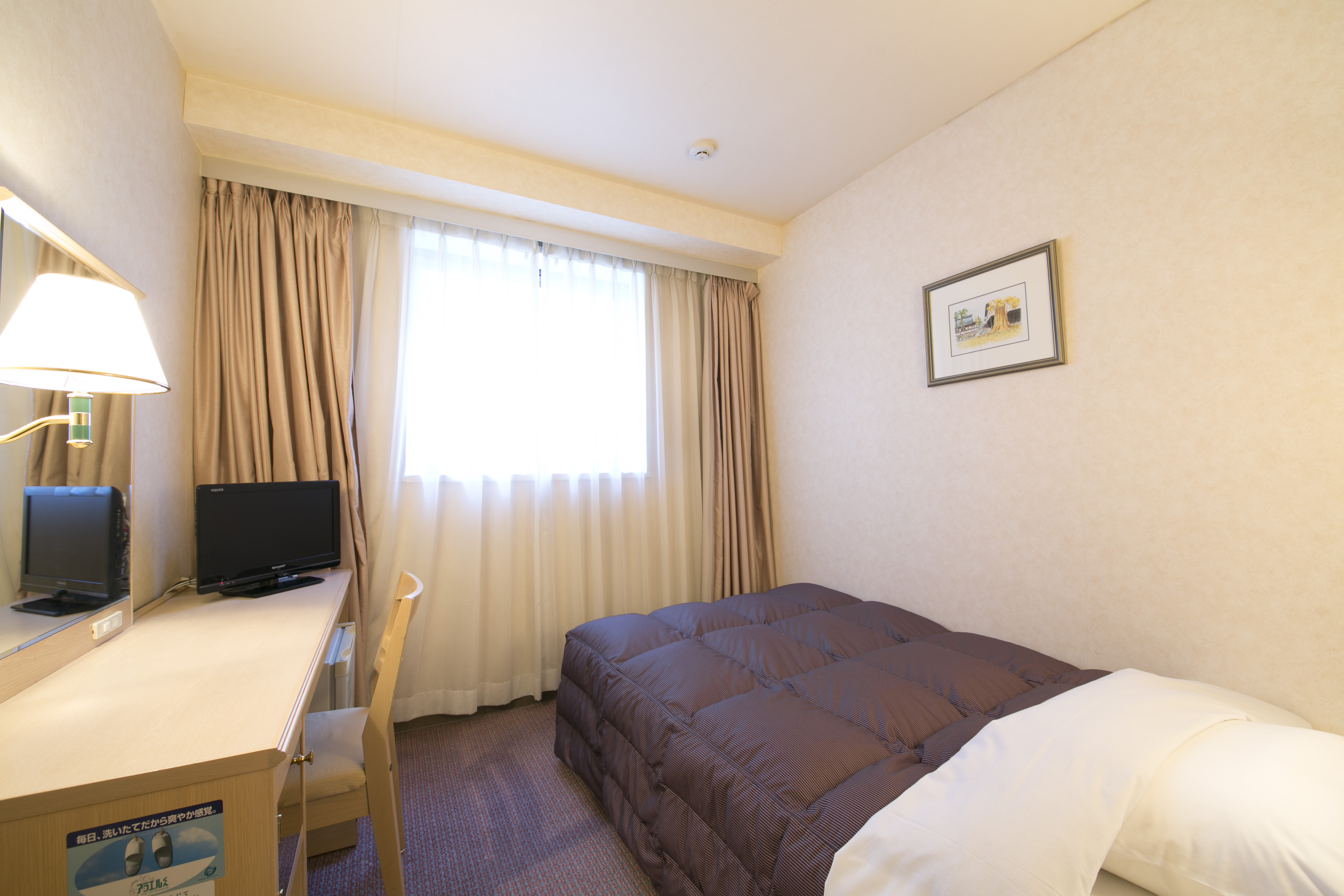 Washington Hotel Plaza Takayama