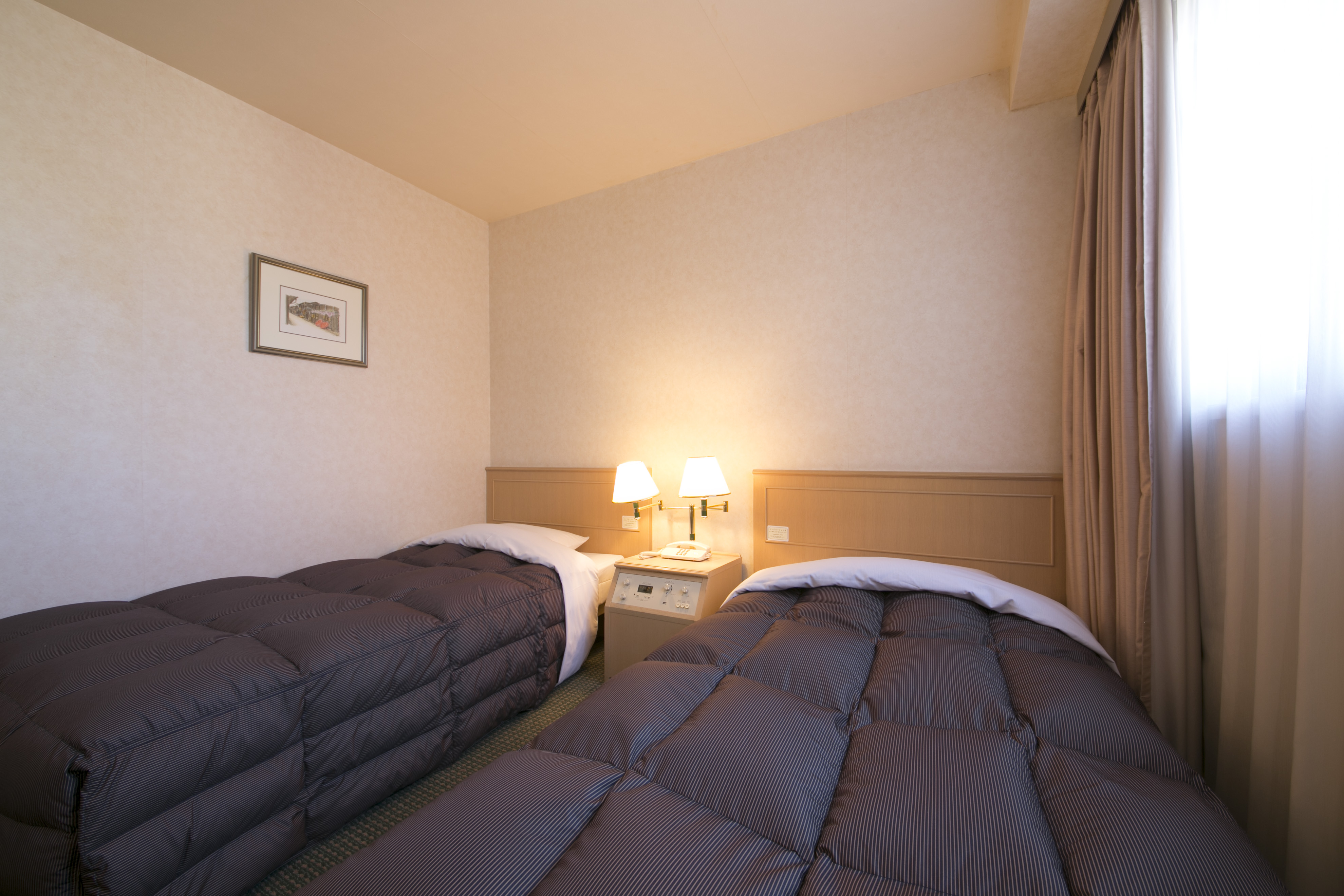 Washington Hotel Plaza Takayama