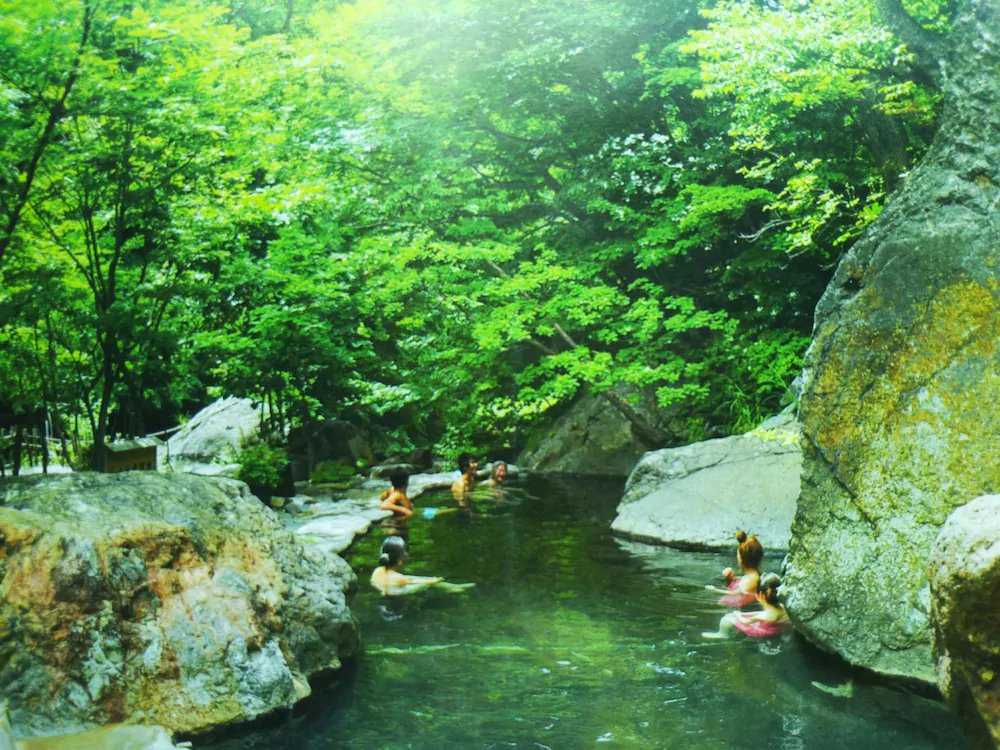Guesthouse Nashimotoken