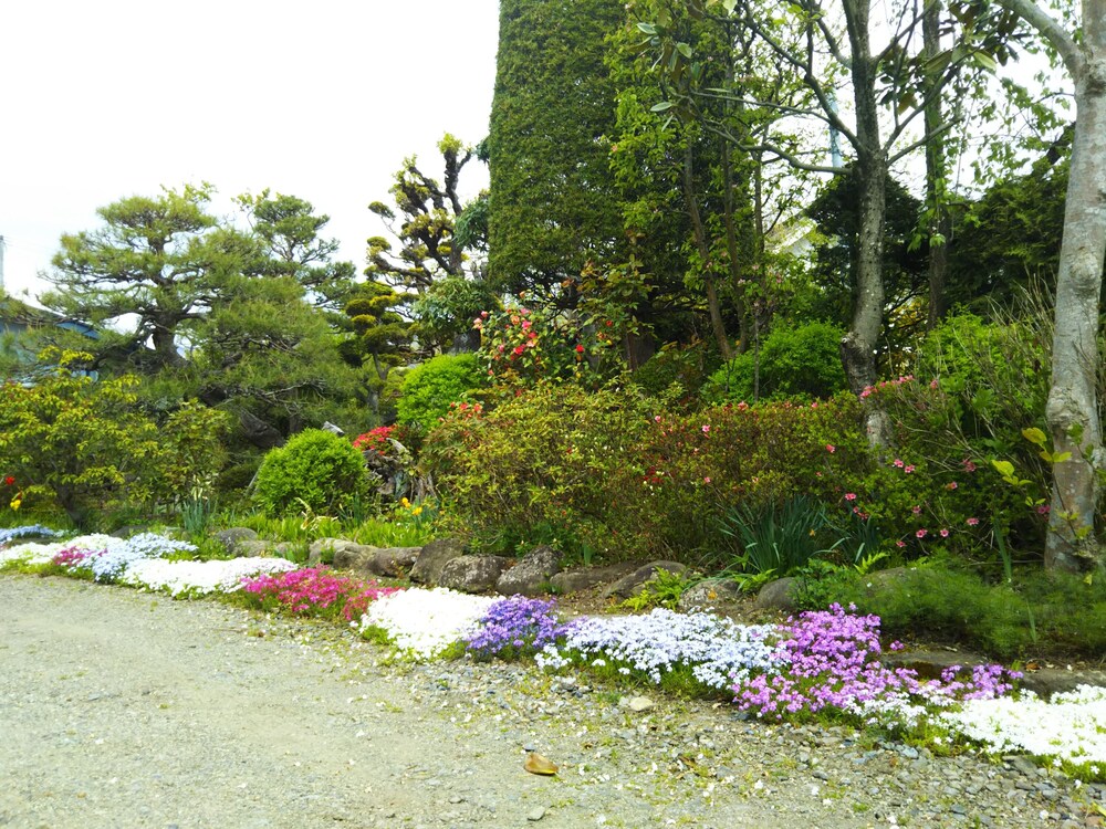 Guesthouse Nashimotoken