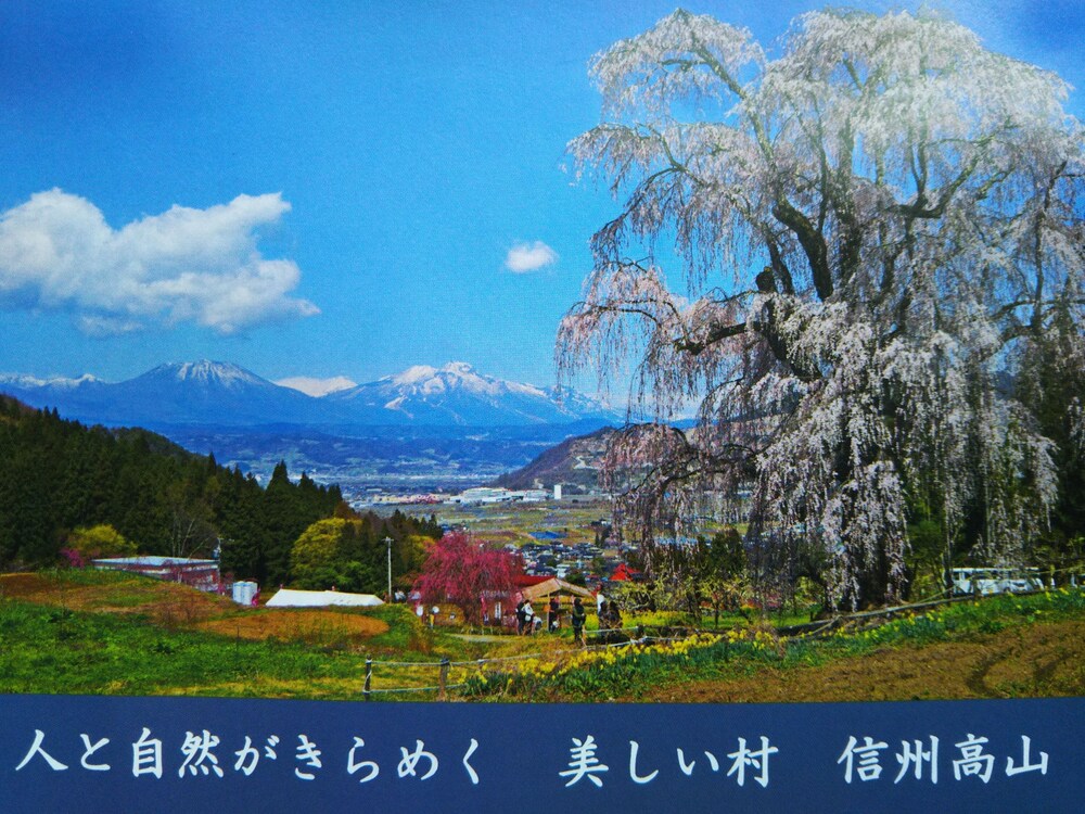 Guesthouse Nashimotoken