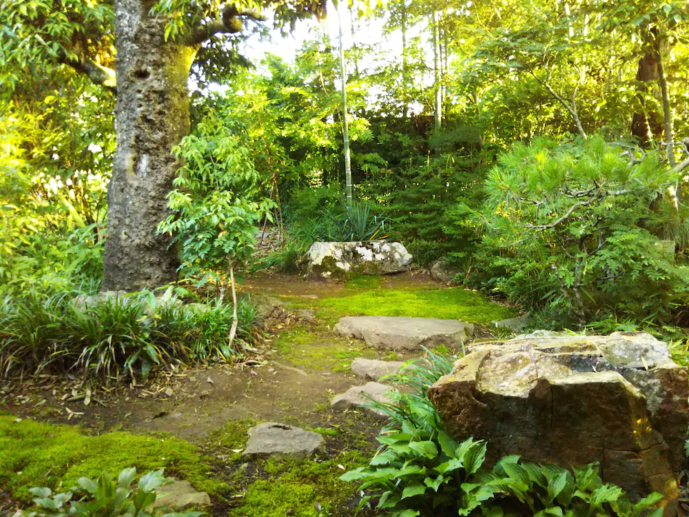 Guesthouse Nashimotoken