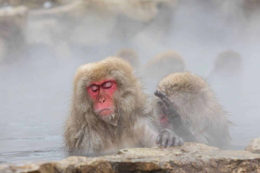 Yamada Onsen Fukeikan