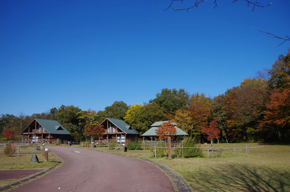 Wariyama Shinrin Koen Tenkomori