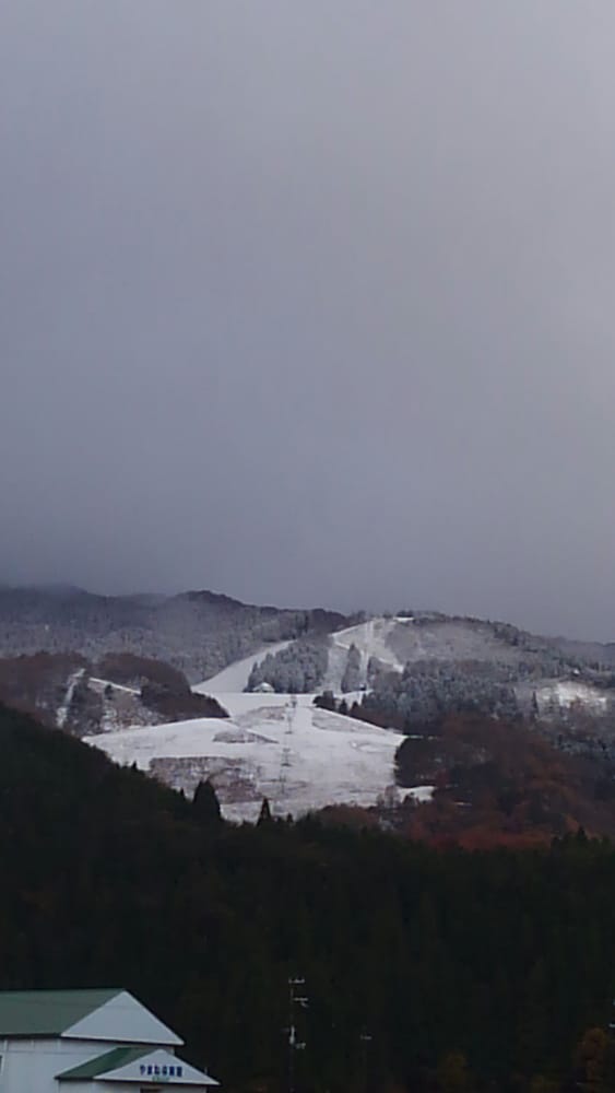 Nashikisou