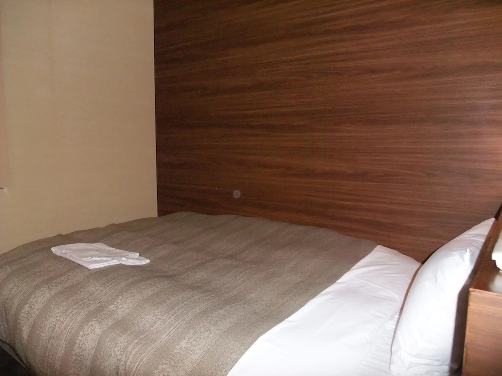 Center Hotel Toyota