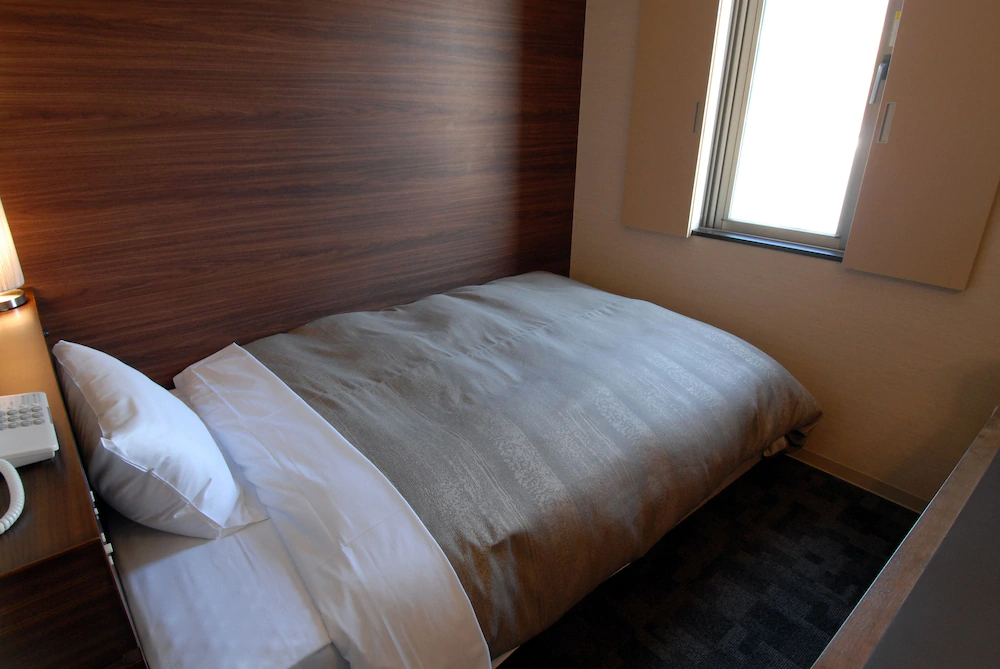 Center Hotel Toyota