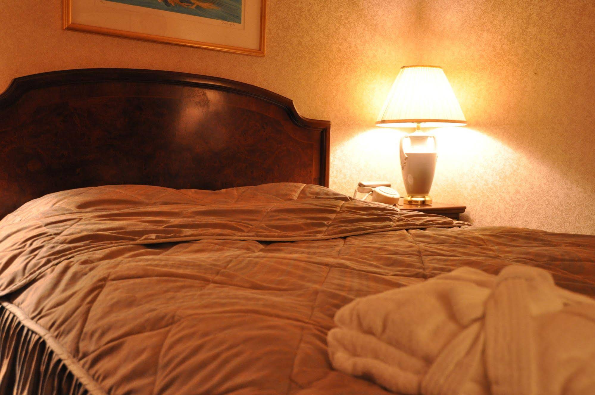 Hotel Palace Inn Toyota