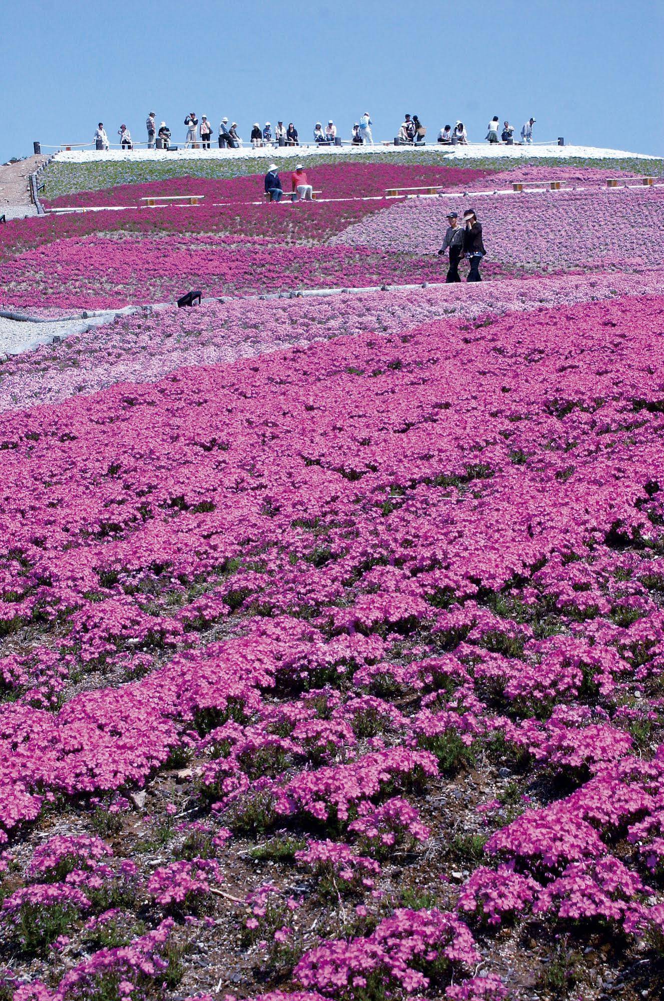 Kyukamura Chausuyama Kogen