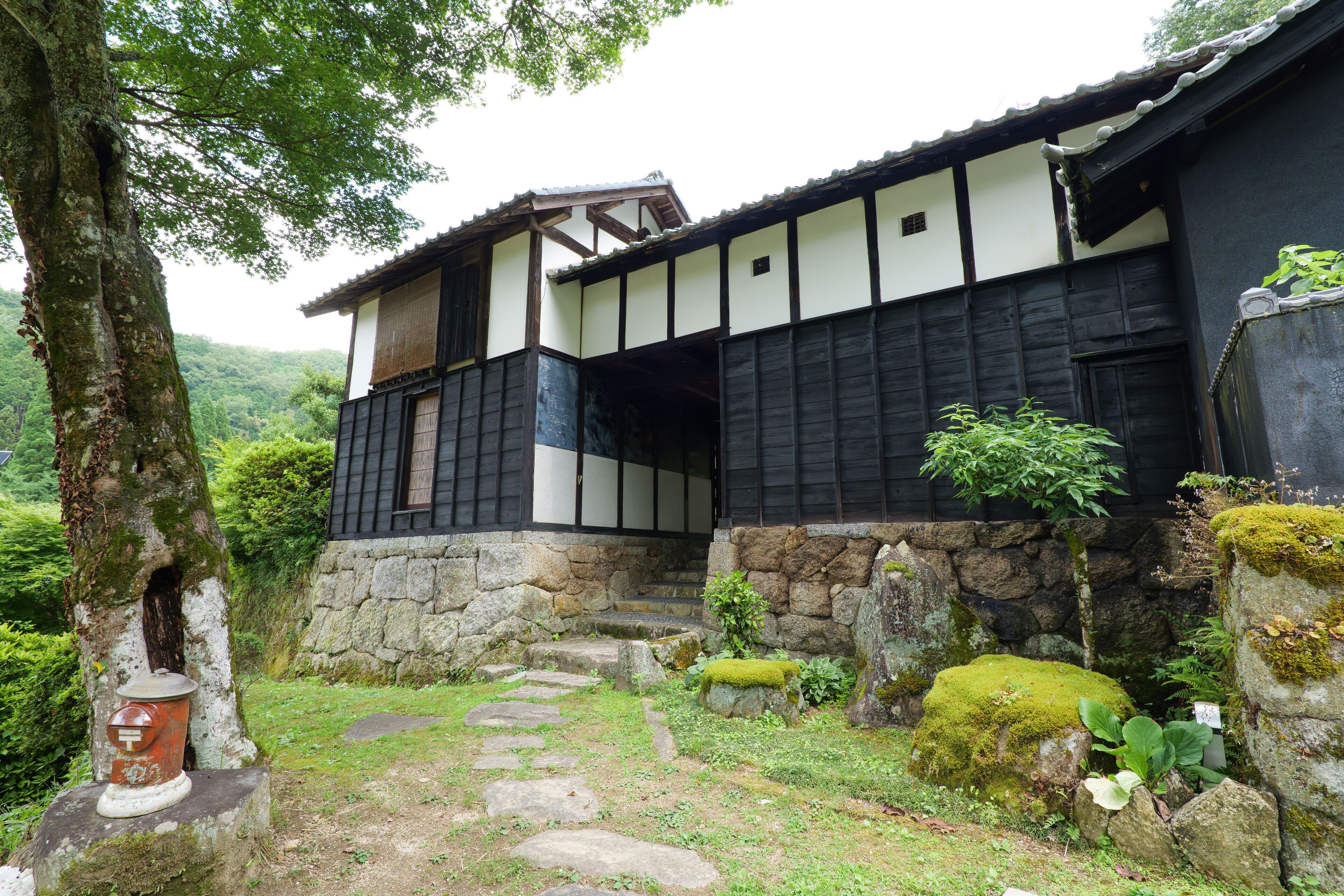 The Ninja Mansion