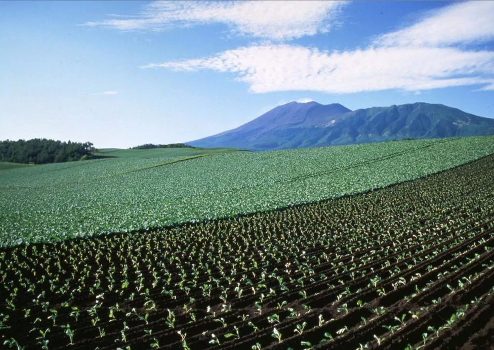 Kyukamura Tsumagoi Kazawa