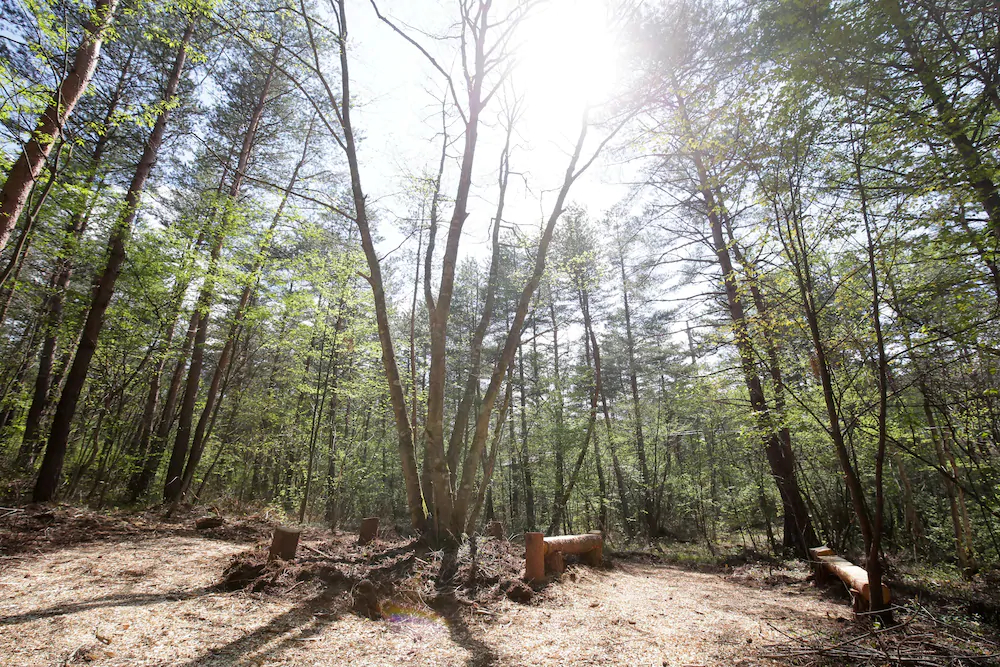 Runesu Karuizawa - Vacation STAY 92241v