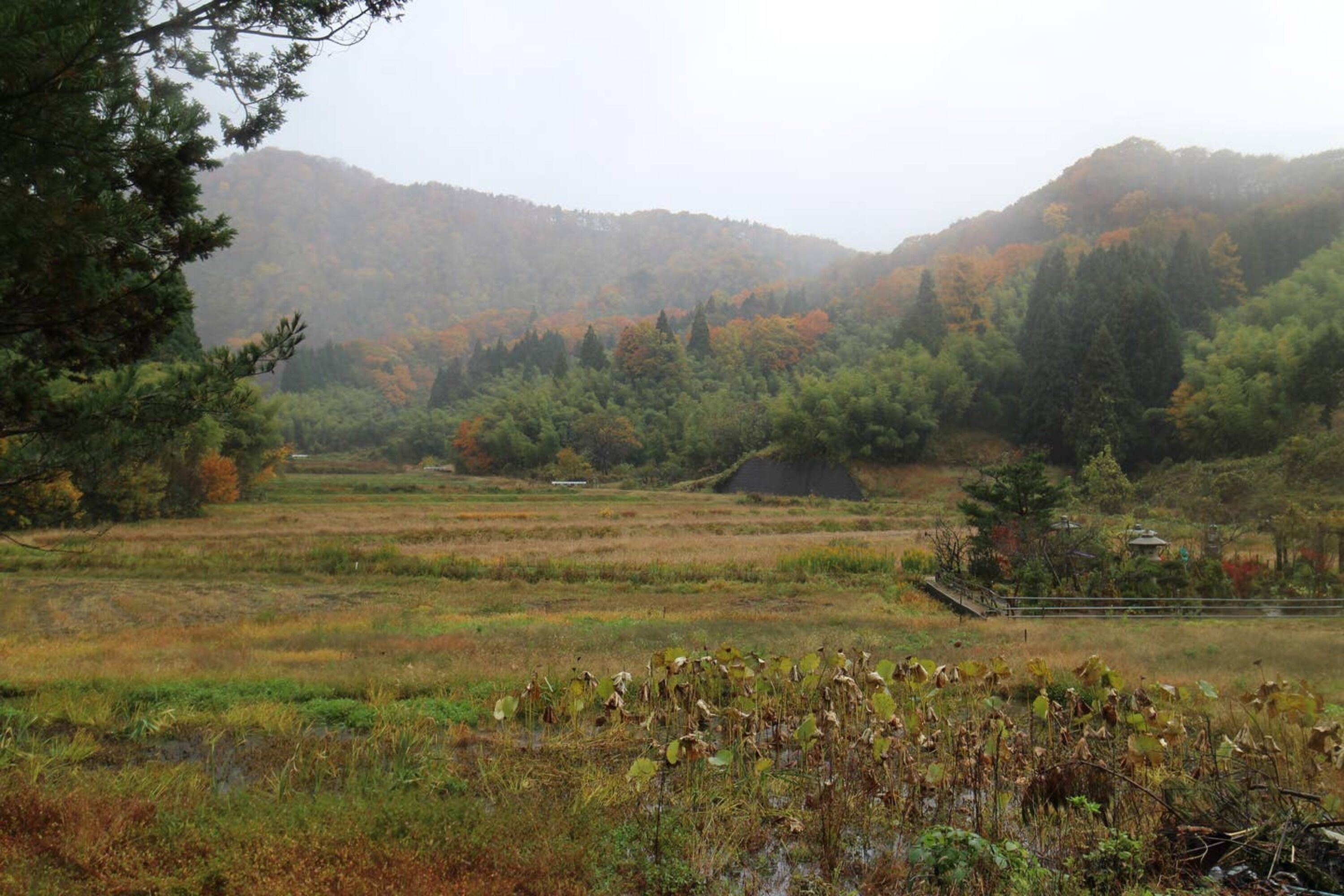 Ohanabatake