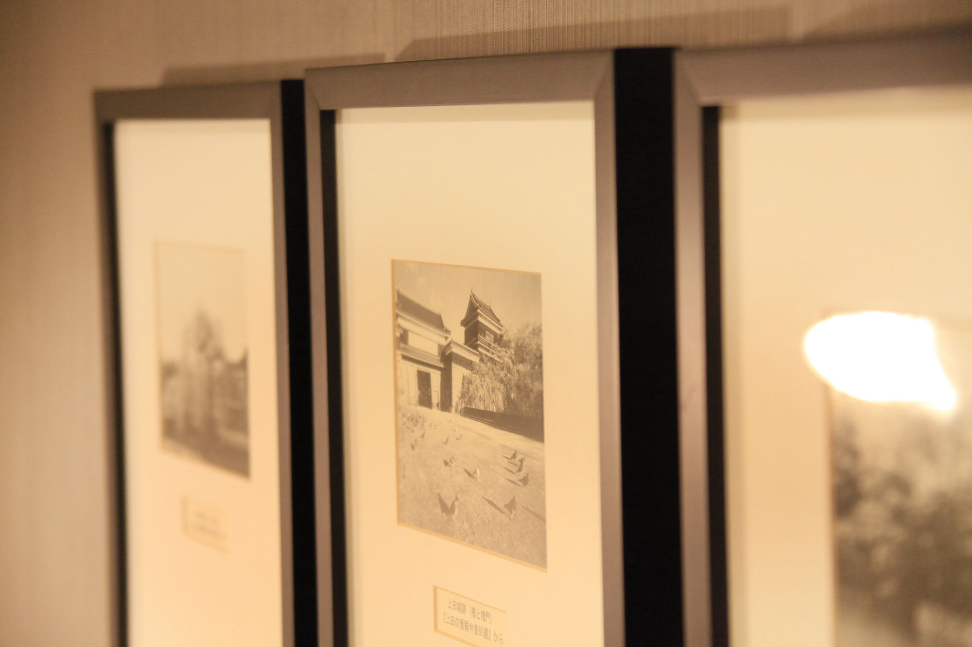 Sotetsu Fresa Inn Nagano-Ueda