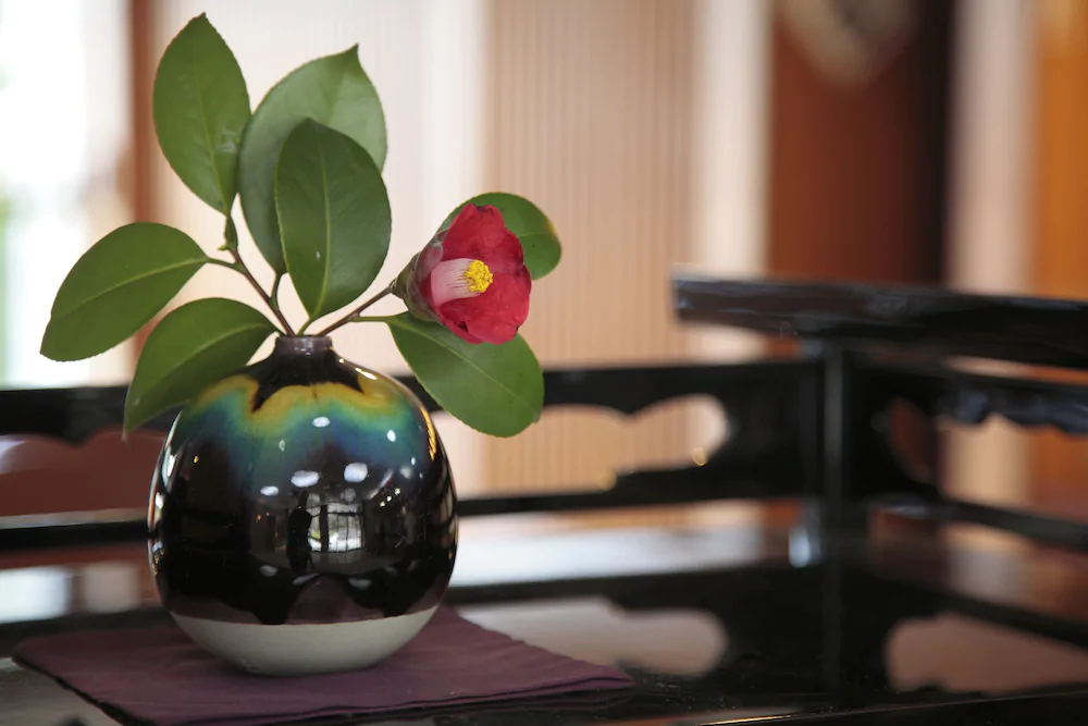 Seizanso Ryokan