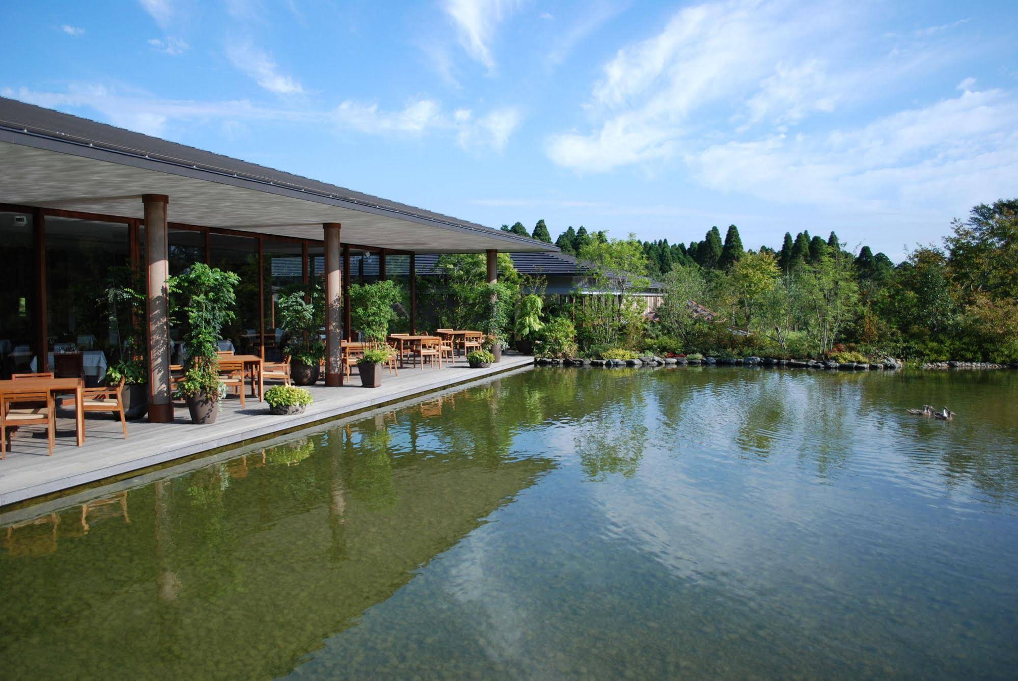 Koyarunosato Sanctuary Forest Allamanda