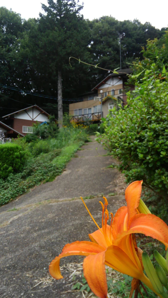 Villa Yaita Onsen Hot Spa