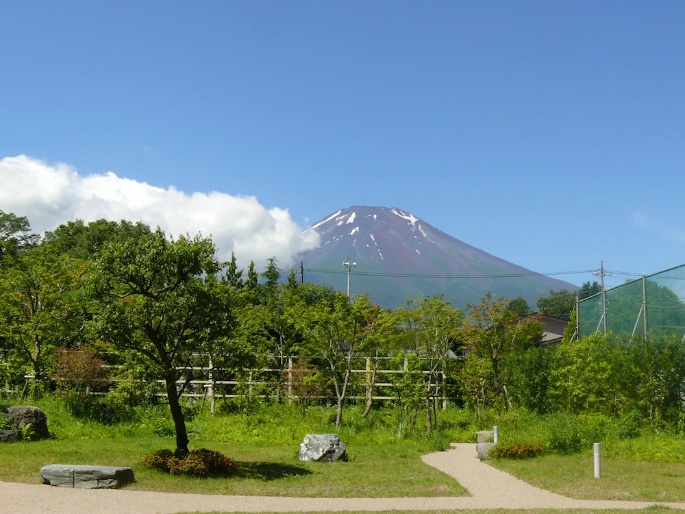 Fuji Matsuzono Hotel