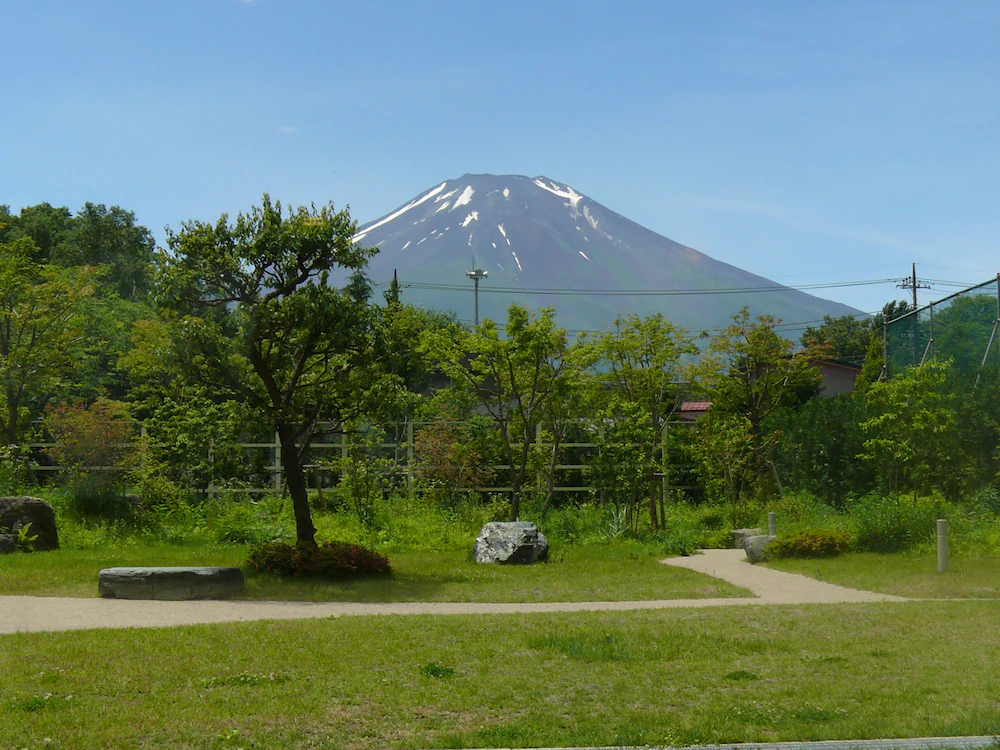 Fuji Matsuzono Hotel